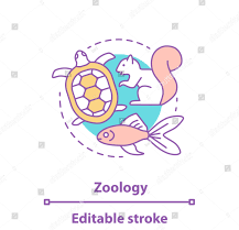 Zoology Image